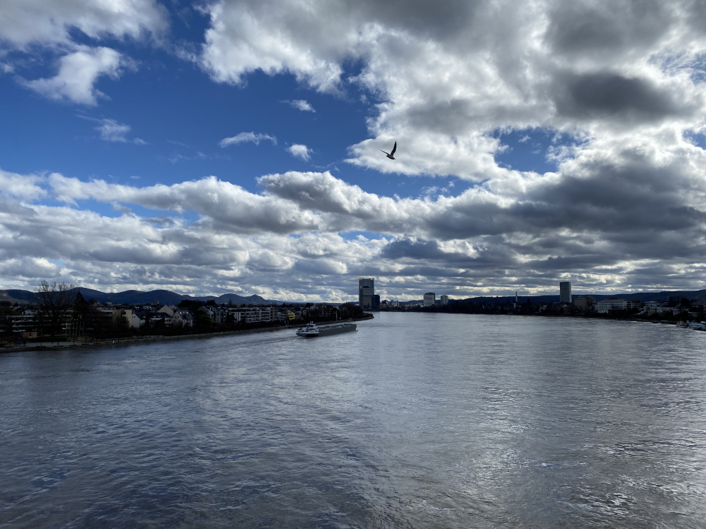 2024-02-24 Rhein 0043 k.JPG